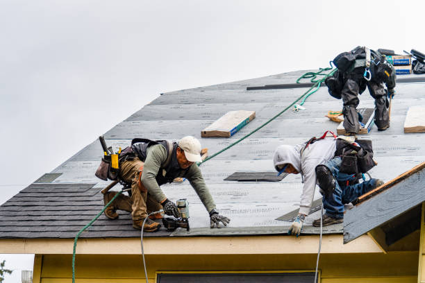 Professional Gutter Installation technician working in Currie, NC
